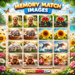 Memory Match Images