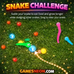 Snake Challenge
